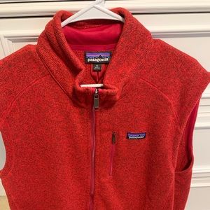 Patagonia vest.